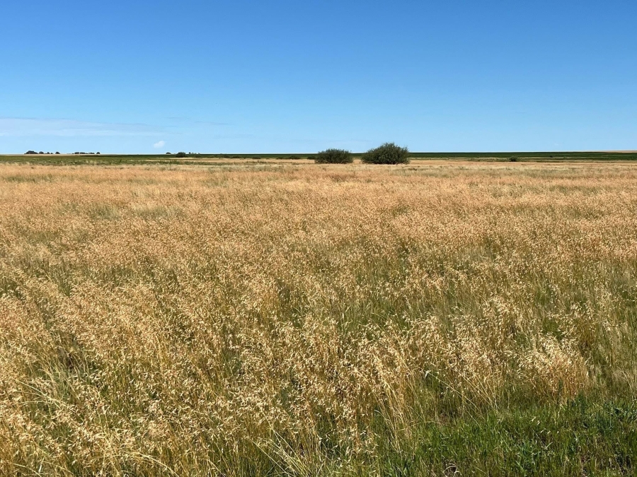 Commercial Property for Sale in Soutpan Free State
